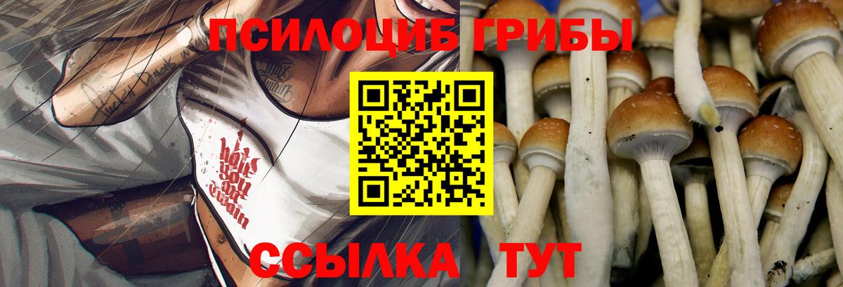 Псилоцибиновые грибы ЛСД Луга