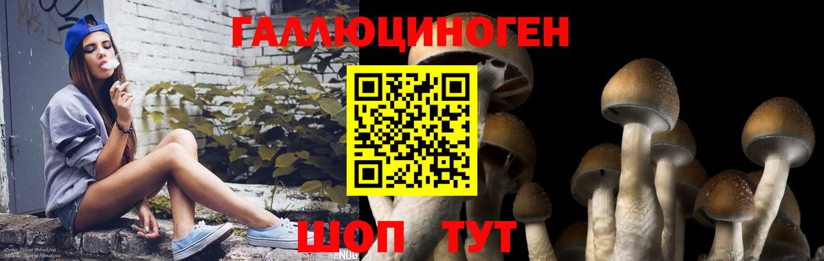Галлюциногенные грибы мухоморы  Псилоцибиновые грибы ЛСД  Вход с VPN  Луга 